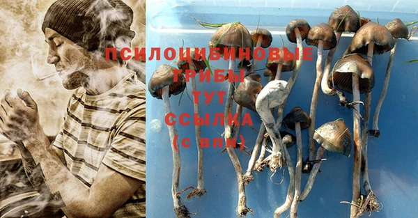 мескалин Арсеньев