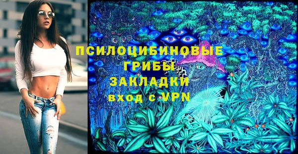соль ск Аркадак