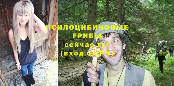 мескалин Арсеньев